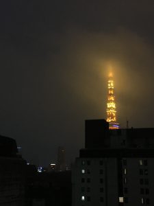 雨雲と霧でテッペンが隠れ気味…