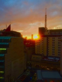 ホメオの社窓から…(p_-)優しいまなざしで📸✨パシャリ🌇by Mr.I