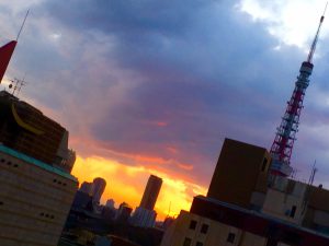 暗くなる直前…港区🗼七変化…