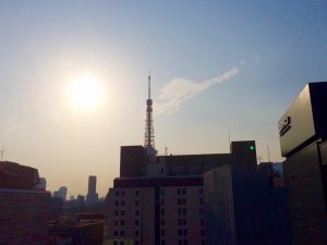 旅立ちを✨祝福✨するかの様な 社窓からの眺め…