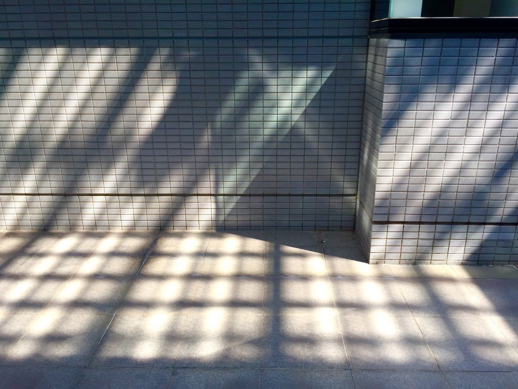 吹き抜け中庭に注がれる光模様…プロジェクションマッピングの様な興奮を感じました🎶