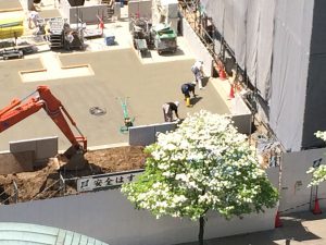 昨年の今頃、お向いの老舗ホテルは 夏のrenewal open 目指して🚧👷🏻大詰めの頃でした…