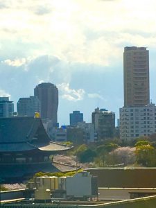 増上寺の🌸桜が(p_-)観えます…桜吹雪が綺麗な頃だろうなぁ…