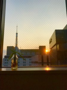 2017皐月第3週…久々に夕陽(p_-)🌇💥🙀眩すぃ~