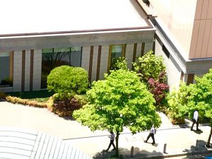 2017水無月初め　エッジの効いた木陰や人影…真夏の陽射し　