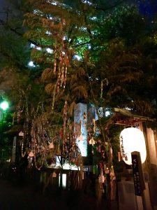 たくさんたくさんお願い事の短冊が…🙏🏻✨