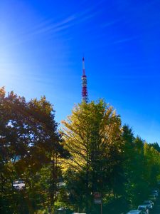 2017霜月21日🗼全銀杏の黄葉はまだ一歩手前…(-_^)