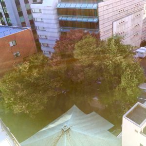 真下のお寺さん上空…✨光に満ちてます✨