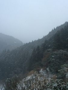 ひ