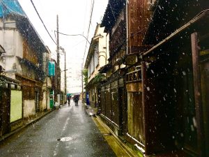 芝大神宮の鳥居下へと続く古い民家が立ち並ぶ一本道…しんしんと降る雪と板塀…何やあr風情を感じます…