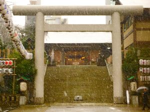 もう一度、参道から振り向けば、雪嵐🌀☃️もまたお似合いですなぁ…芝大神宮ｻﾏ~(-_^)