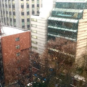 社窓から見えるいつもの子院境内上の空間。(p_-)凄い勢いで一面雪が舞っておりました