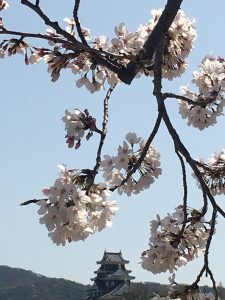 IMG_5235