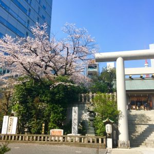 近隣にある芝大神宮参道ﾖﾘ・・・階段脇の天空の庭の桜🌸はそれはそれはみごとです🌸