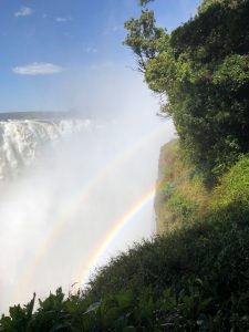 IMG_1017
