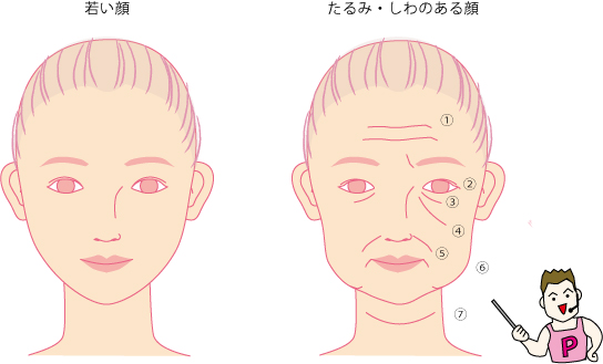 若い顔、たるみ顔_2