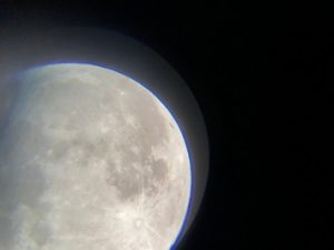 IMG_1895