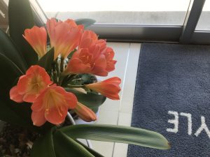 IMG_7362