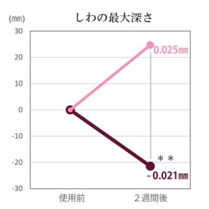 しわ最大深さ