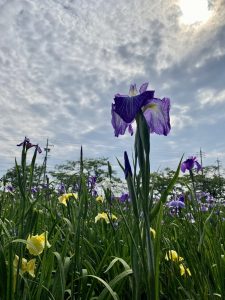 ABFB8CF6-F4FD-4FE3-8A5E-C0BB2B943D94