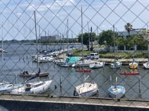 IMG_0891
