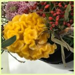 saved_image (17)
