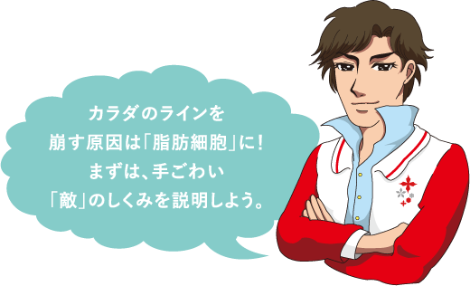 e-conque Body - HOMEOSTYLE