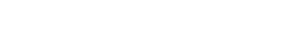 VIEQUEN ヴィクィン