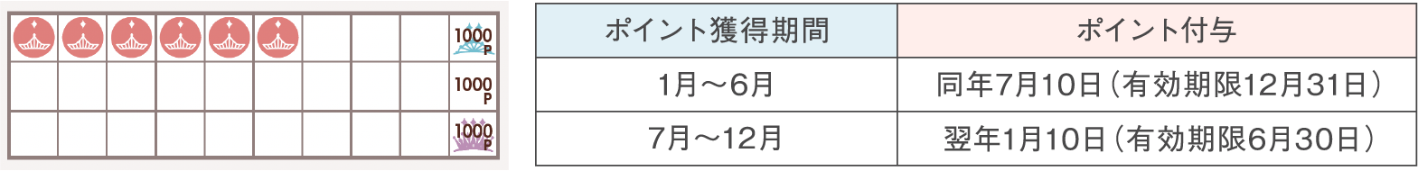ポイント獲得期間 ポイント付与